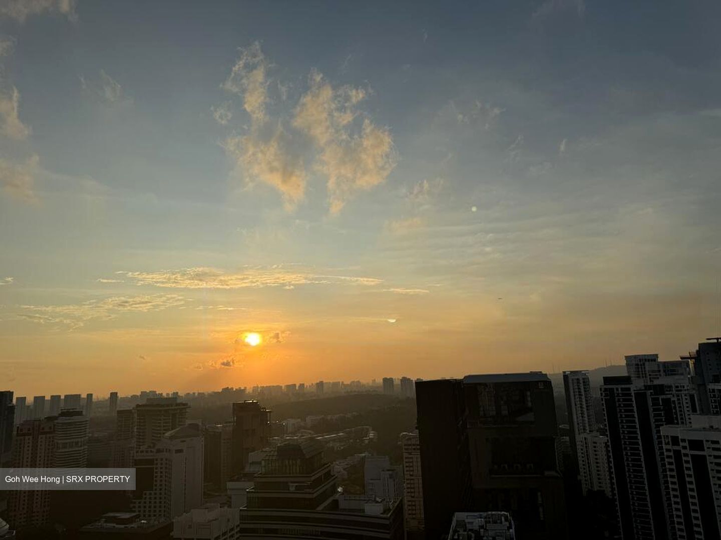 Scotts Square (D9), Apartment #467698071